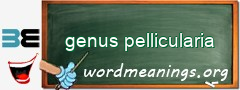 WordMeaning blackboard for genus pellicularia